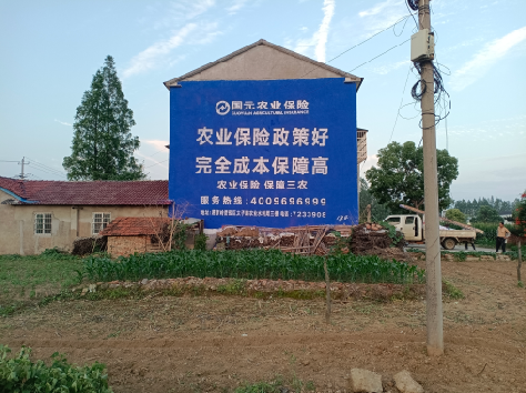  隆昌墙体广告的优劣势你知道吗？