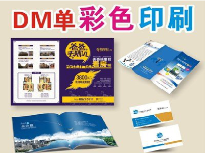  隆昌单页印刷，色彩搭配简单。